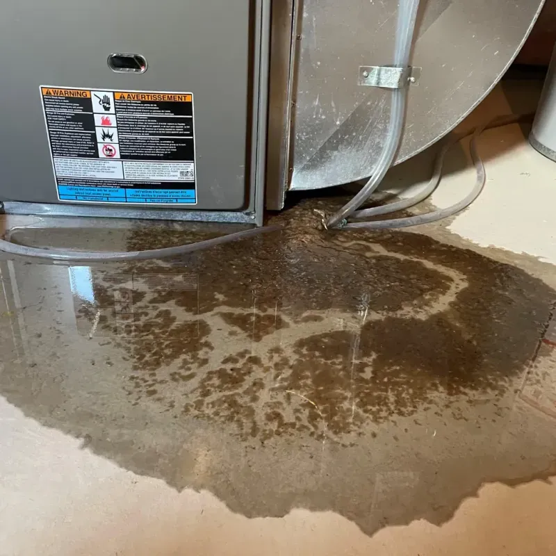 Appliance Leak Cleanup in Fairview, NY